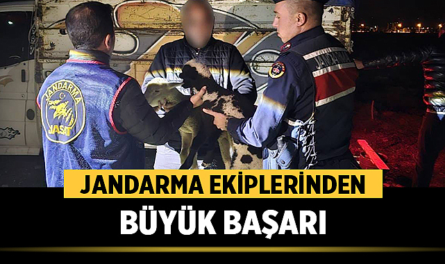 JASAT'tan Sandıklı'da Hayvan Hırsızlığı Operasyonu: 4 Tutuklama