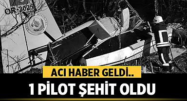 Kaybolan Yangın Söndürme Uçağının Enkazına Ulaşıldı: 1 Pilot Şehit Oldu