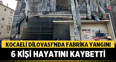 Kocaeli Dilovası'nda Fabrika Yangını: 6 Kişi Hayatını Kaybetti