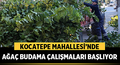 Kocatepe Mahallesi’nde Ağaç Budama Çalışmaları Başlıyor