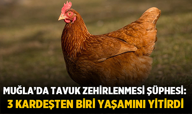 Muğla’da Tavuk Zehirlenmesi Şüphesi: 3 Kardeşten Biri Yaşamını Yitirdi