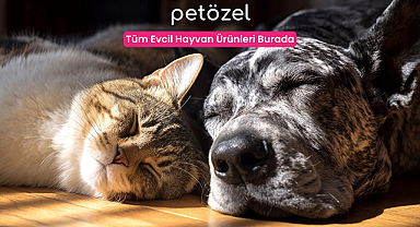 Petözel ile Evcil Dostlarınız İçin Güvenilir Online Petshop