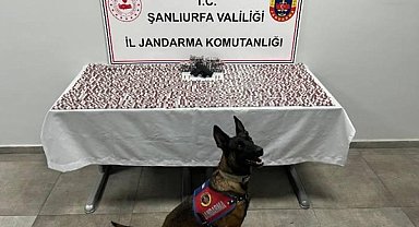 Şanlıurfa’da uyuşturucu operasyonu