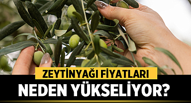 Zeytinyağı Fiyatları Neden Yükseliyor? Etiketin Arkasındaki 