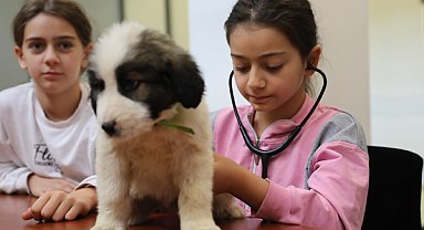 Bursa'da Bir Günlüğüne Veteriner Hekim Oluyorum” etkinliği