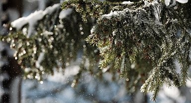 Ordu'da kar tatili ilan edilen ilçeler hangileri? 13 Ocak listesi