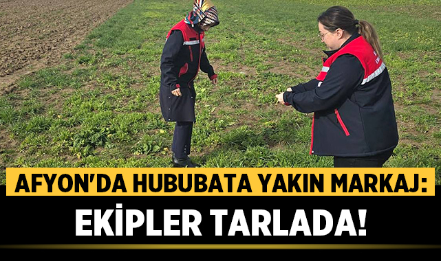 Afyon'da Hububata Yakın Markaj: Ekipler Tarlada!