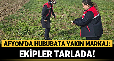 Afyon'da Hububata Yakın Markaj: Ekipler Tarlada!