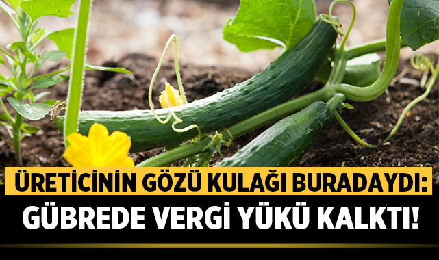 Afyonlu Üreticinin Gözü Kulağı Buradaydı: Gübrede Vergi Yükü Kalktı!