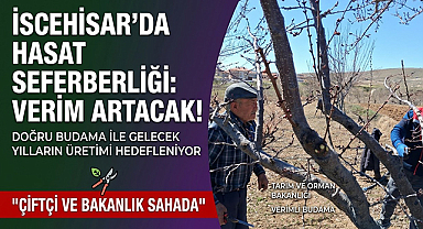 İscehisar'da Budama Mesaisi: Meyvede Verim İkiye Katlanacak!