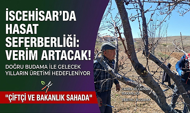 İscehisar'da Budama Mesaisi: Meyvede Verim İkiye Katlanacak!