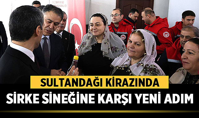 Sultandağı kirazında sirke sineğine karşı yeni adım