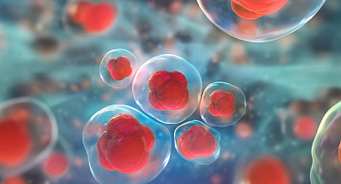 Afyonkarahisar AFSÜ’de hücresel tedavi merkezi için altyapı çalışması başladı