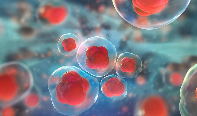 Afyonkarahisar AFSÜ’de hücresel tedavi merkezi için altyapı çalışması başladı