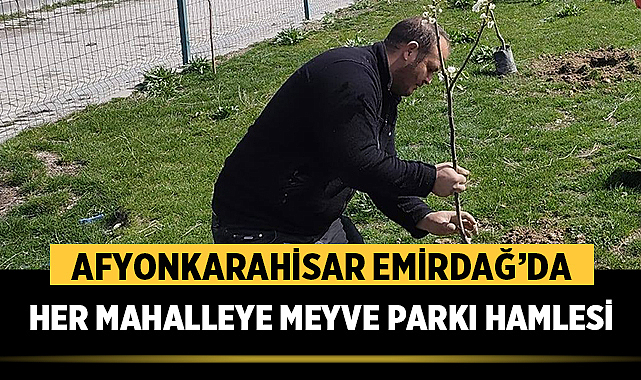 Afyonkarahisar Emirdağ'da Her Mahalleye Meyve Parkı Hamlesi