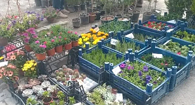 Afyonkarahisar Sultandağı’nda pazaryeri baharla hareketlendi