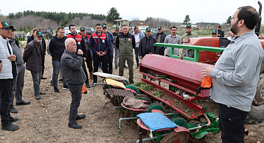 Dinar’da Kekik Tarımı Başladı