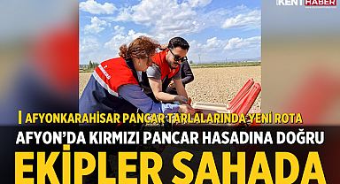 Afyon’da Kırmızı Pancar Hasadına Doğru: Ekipler Sahada