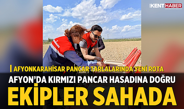 Afyon’da Kırmızı Pancar Hasadına Doğru: Ekipler Sahada