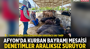 Afyon'da Kurban Bayramı Mesaisi: Denetimler Aralıksız Sürüyor
