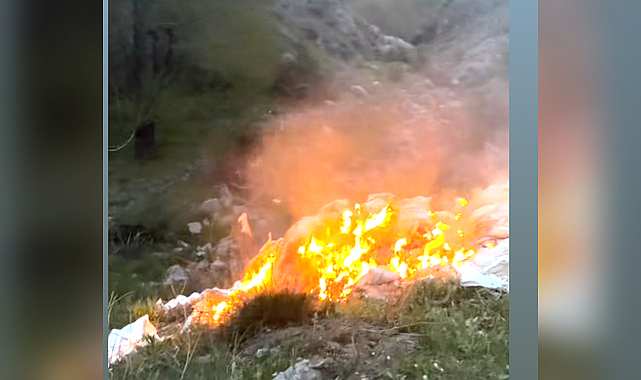 Afyonkarahisar’da Dağ Yolunda Yangın