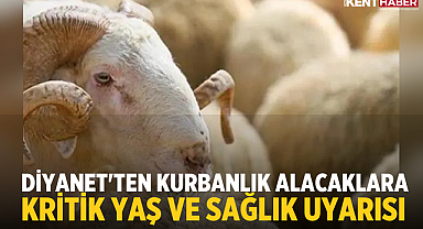 Diyanet'ten Kurbanlık Alacaklara Kritik Yaş ve Sağlık Uyarısı 