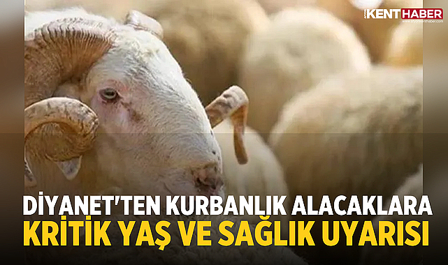 Diyanet'ten Kurbanlık Alacaklara Kritik Yaş ve Sağlık Uyarısı 