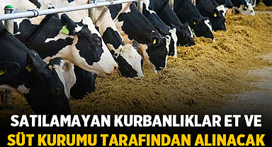 Satılamayan kurbanlıklar Et ve Süt Kurumu tarafından alınacak