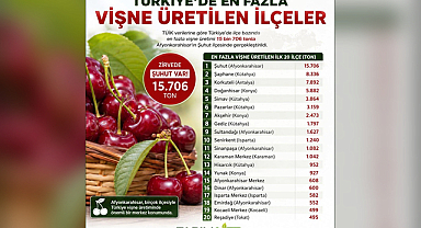Vişne Üretiminde Zirve Değişmedi: Şuhut Türkiye Birincisi