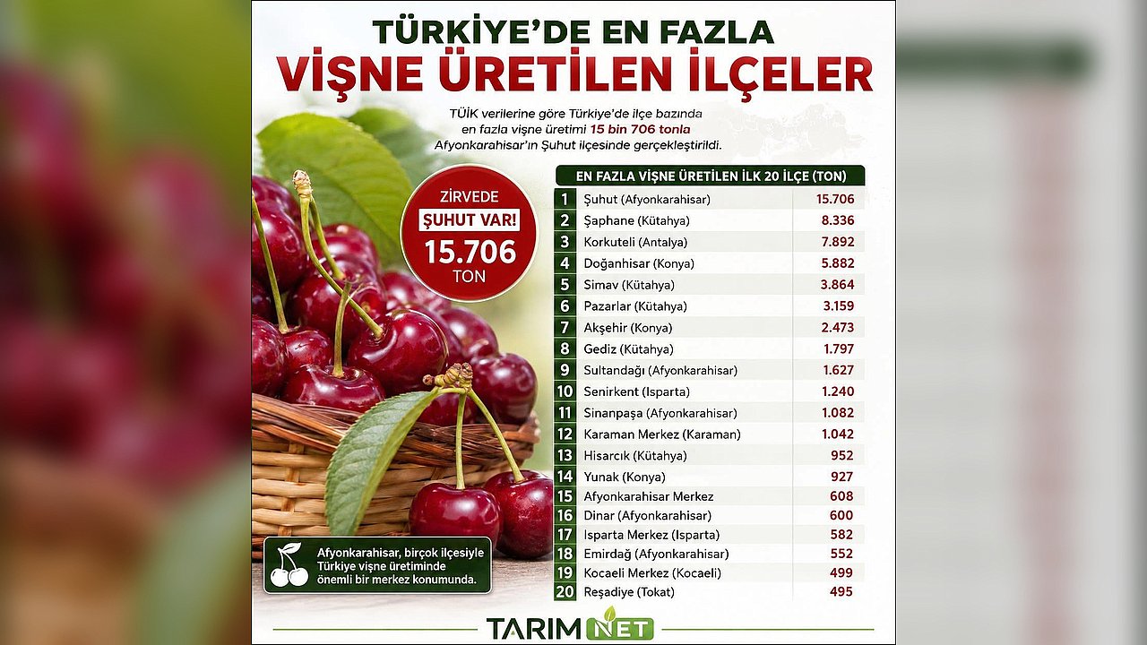 Vişne Üretiminde Zirve Değişmedi: Şuhut Türkiye Birincisi