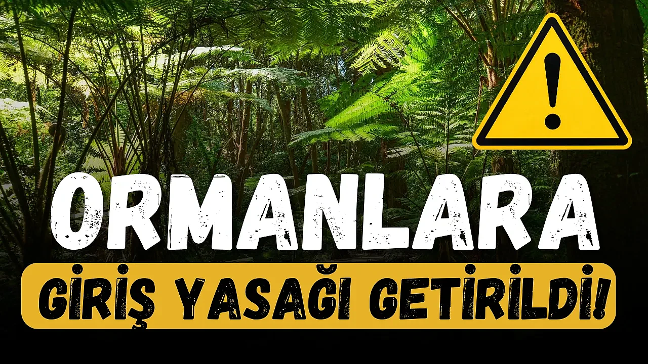 Afyonkarahisar’da Ormanlara Giriş Yasaklandı