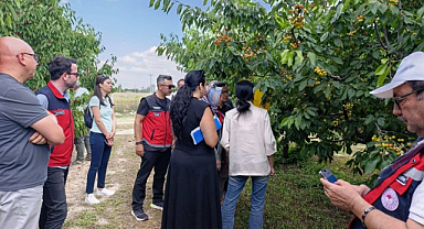 Çin heyeti Afyonkarahisar'da kiraz üretim alanlarını inceledi