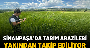 Sinanpaşa’da Tarım Arazileri Yakından Takip Ediliyor