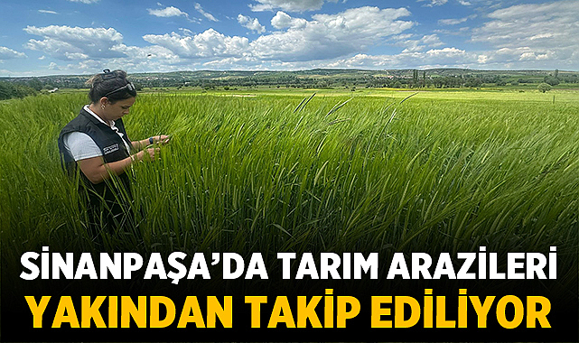 Sinanpaşa’da Tarım Arazileri Yakından Takip Ediliyor