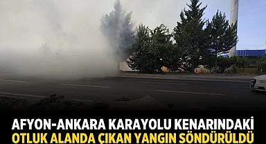 Afyon-Ankara karayolu kenarındaki otluk alanda çıkan yangın söndürüldü