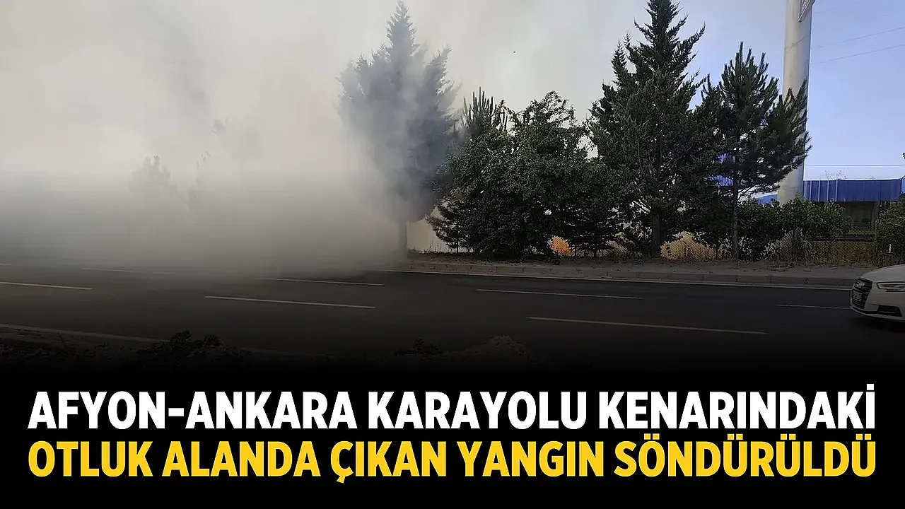 Afyon-Ankara karayolu kenarındaki otluk alanda çıkan yangın söndürüldü