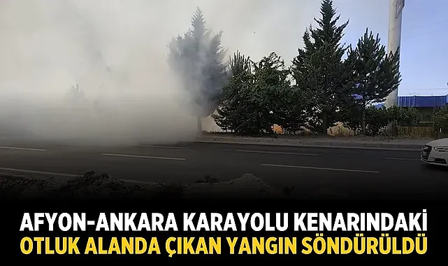 Afyon-Ankara karayolu kenarındaki otluk alanda çıkan yangın söndürüldü