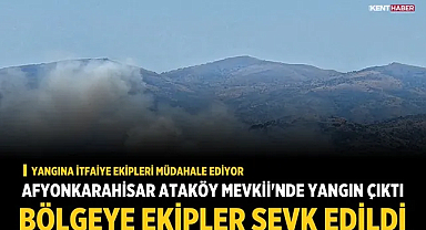Afyonkarahisar'da Sülün ile Değirmenayvalı Arasında Yangın Çıktı