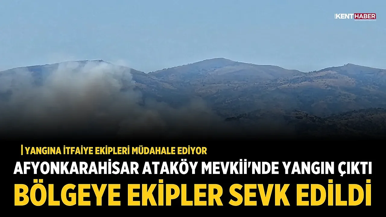 Afyonkarahisar'da Sülün ile Değirmenayvalı Arasında Yangın Çıktı
