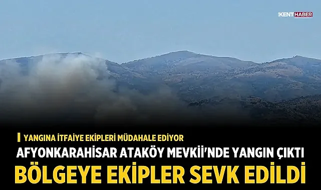 Afyonkarahisar'da Sülün ile Değirmenayvalı Arasında Yangın Çıktı