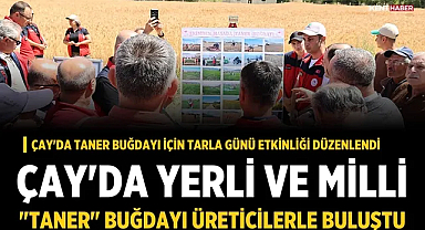Çay'da Taner buğdayı için Tarla Günü etkinliği düzenlendi