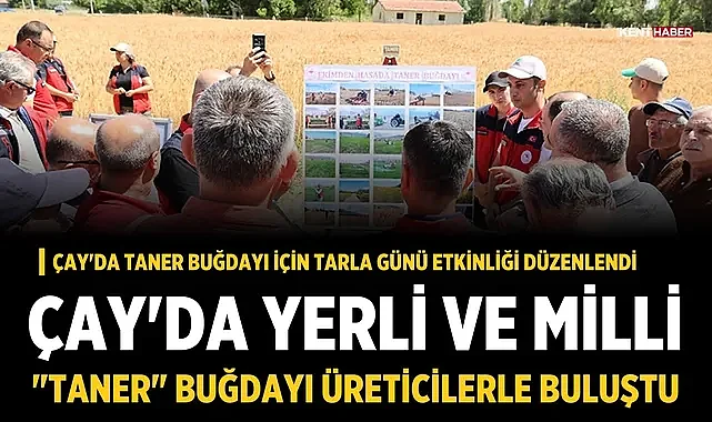 Çay'da Taner buğdayı için Tarla Günü etkinliği düzenlendi