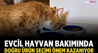 Evcil Hayvan Bakımında Doğru Ürün Seçimi Önem Kazanıyor