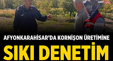 Afyonkarahisar’da kornişon üretimine sıkı denetim