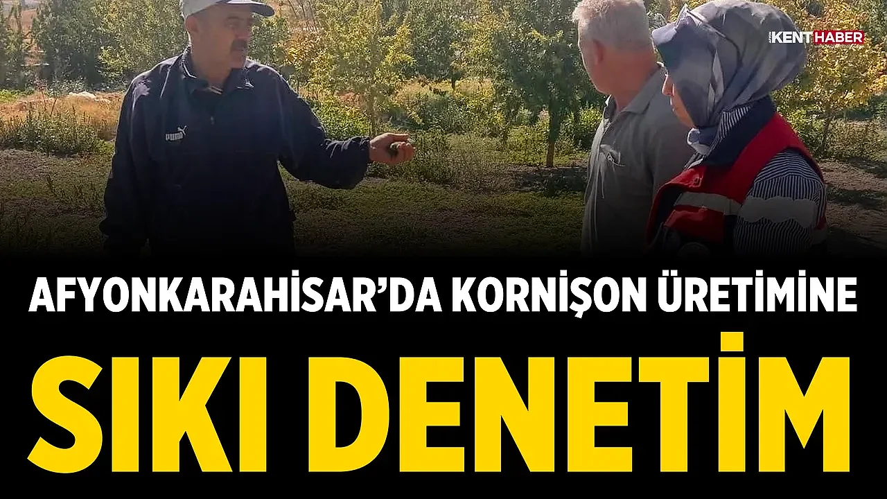 Afyonkarahisar’da kornişon üretimine sıkı denetim