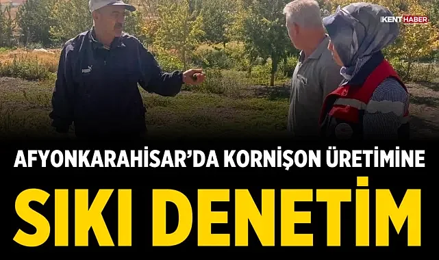 Afyonkarahisar’da kornişon üretimine sıkı denetim