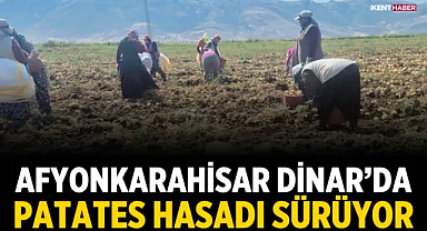 Afyonkarahisar Dinar’da Patates Hasadı Sürüyor