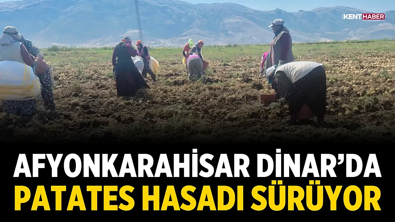 Afyonkarahisar Dinar’da Patates Hasadı Sürüyor