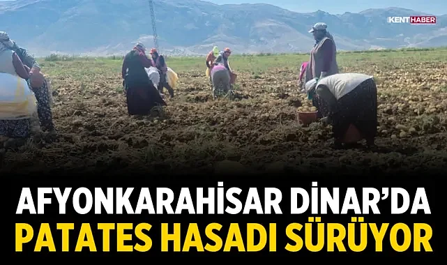 Afyonkarahisar Dinar’da Patates Hasadı Sürüyor