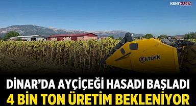 Dinar’da Ayçiçeği Hasadı Başladı: 4 Bin Ton Üretim Bekleniyor